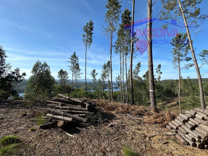 Image No.63-Maison à vendre à Sertã