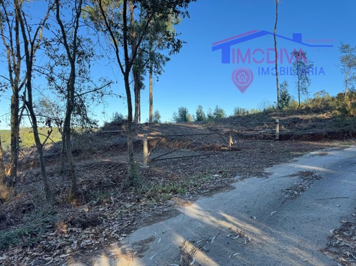 Image No.68-Maison à vendre à Sertã