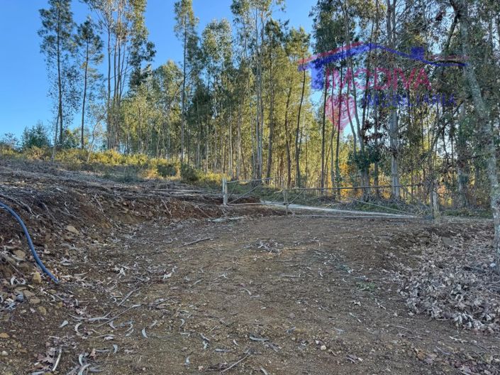 Image No.71-Maison à vendre à Sertã