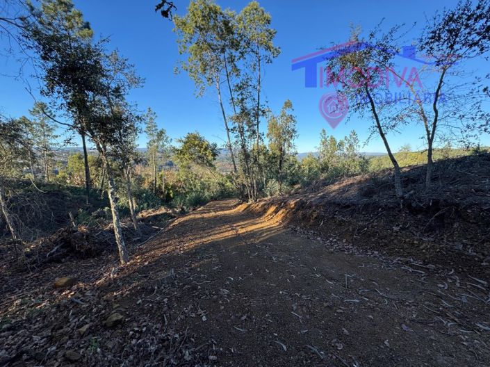 Image No.72-Maison à vendre à Sertã