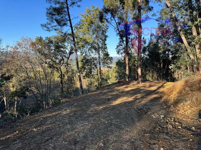 Image No.73-Maison à vendre à Sertã