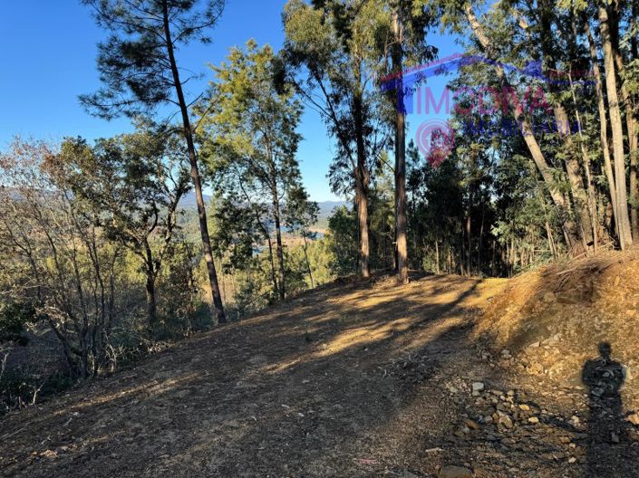 Image No.74-Maison à vendre à Sertã