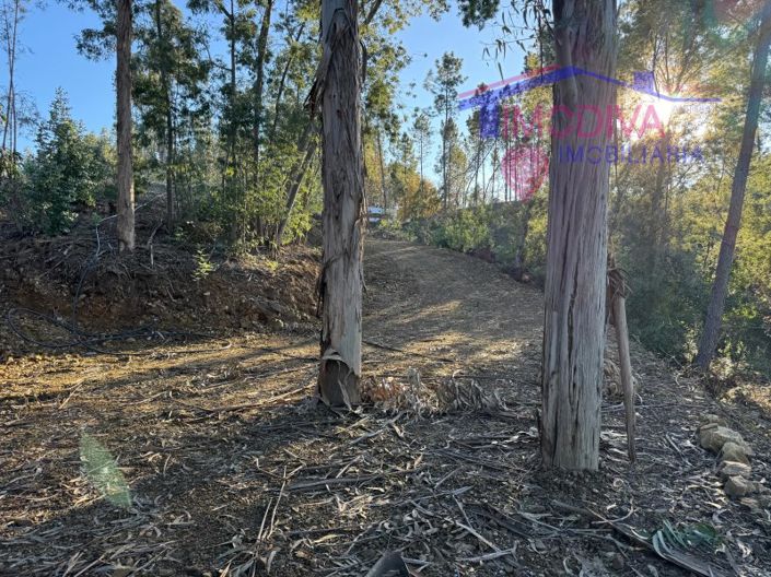 Image No.77-Maison à vendre à Sertã