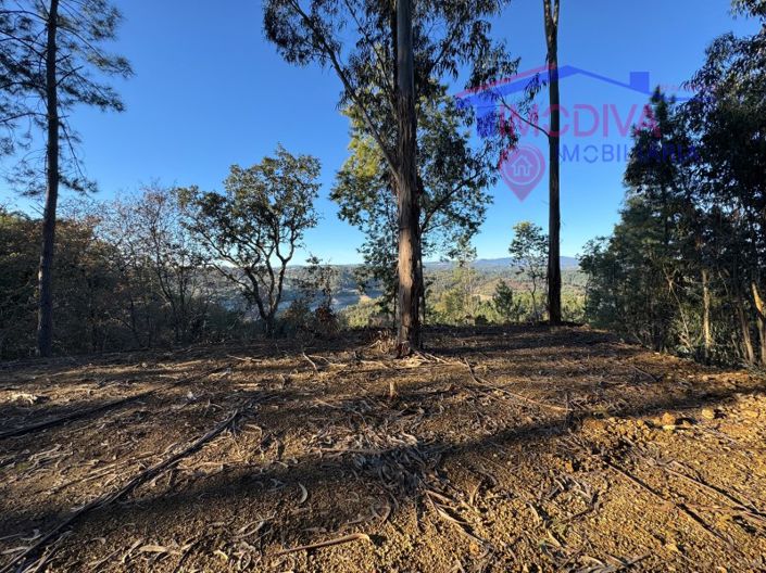 Image No.78-Maison à vendre à Sertã