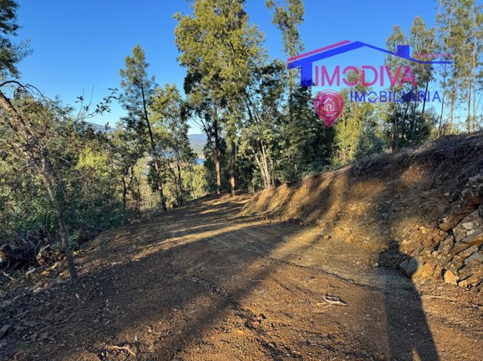 Image No.79-Maison à vendre à Sertã