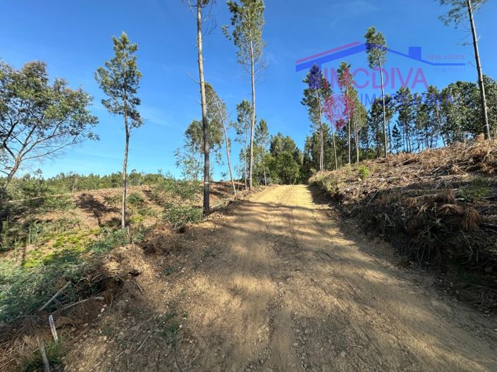 Image No.8-Maison à vendre à Sertã