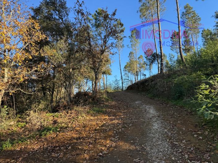 Image No.86-Maison à vendre à Sertã