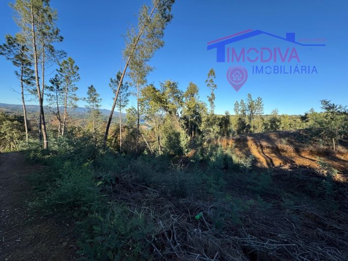 Image No.87-Maison à vendre à Sertã