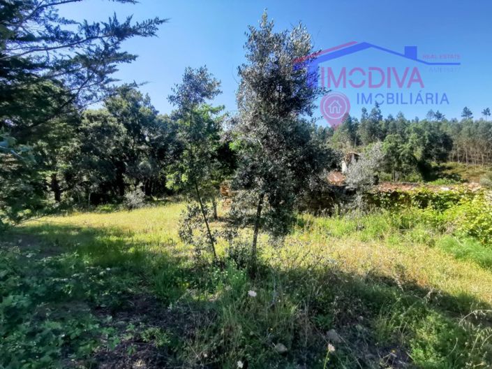 Image No.10-1 Bed House for sale