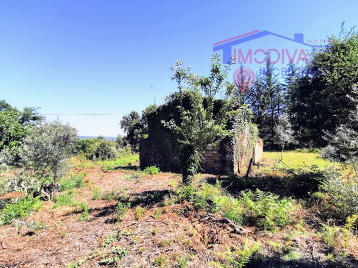 Image No.2-1 Bed House for sale