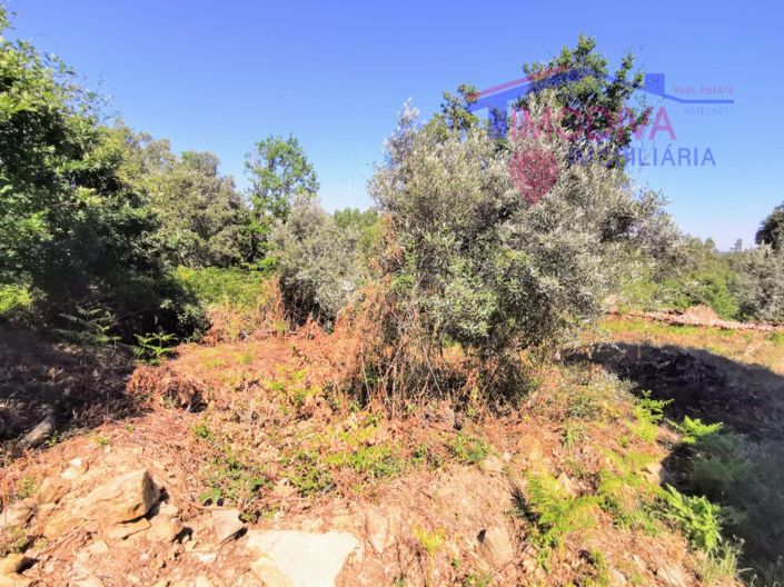 Image No.7-1 Bed House for sale