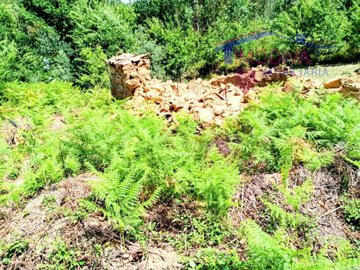 id55677f01-0000-0500-0000-0000138771c3