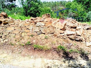 id55677f01-0000-0500-0000-0000138771c4