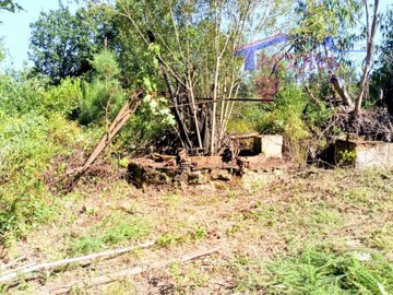 id55677f01-0000-0500-0000-0000136e361d