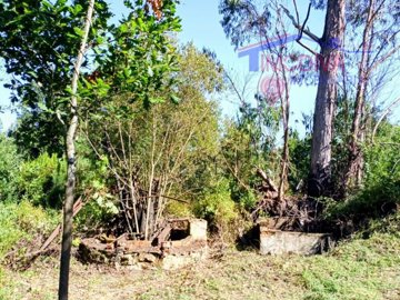 id55677f01-0000-0500-0000-0000136e361e