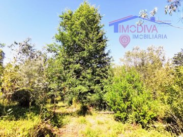 id55677f01-0000-0500-0000-00001369c4db