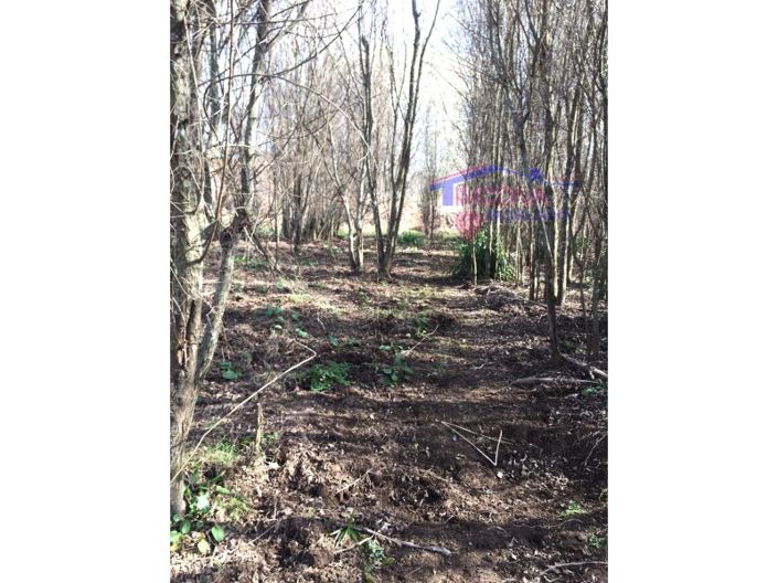 Image No.16-House for sale