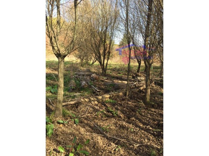 Image No.19-House for sale