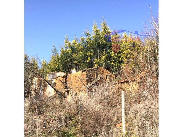 Image No.7-House for sale