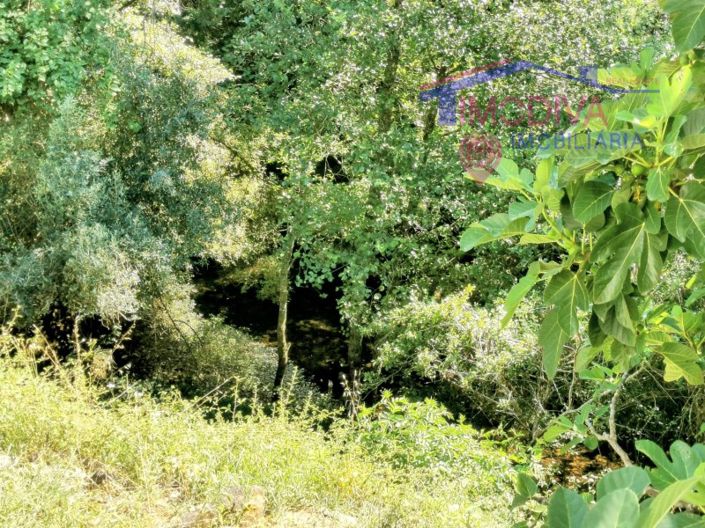 Image No.39-Bar for sale