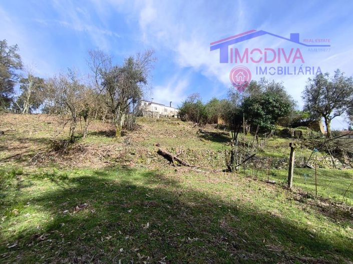 Image No.41-5 Bed House for sale