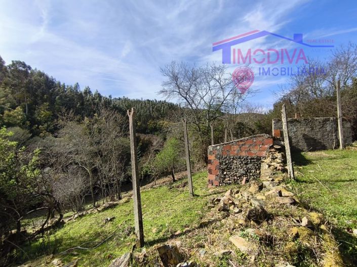 Image No.42-5 Bed House for sale