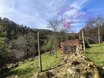 1 - Figueiró dos Vinhos, House