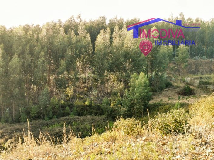 Image No.4-Plot for sale