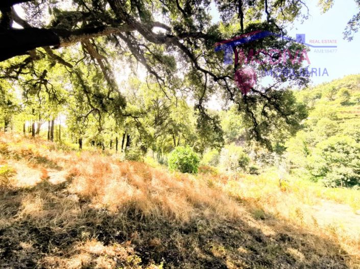 Image No.12-2 Bed House for sale