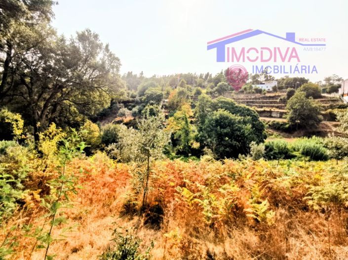 Image No.14-2 Bed House for sale