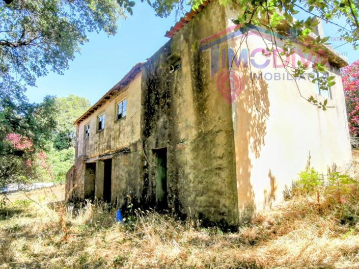 Image No.2-2 Bed House for sale