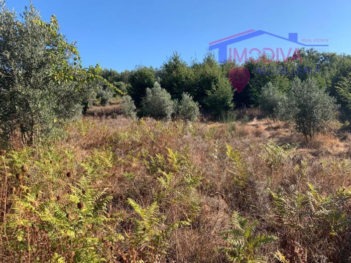 Image No.10-Farmhouse for sale