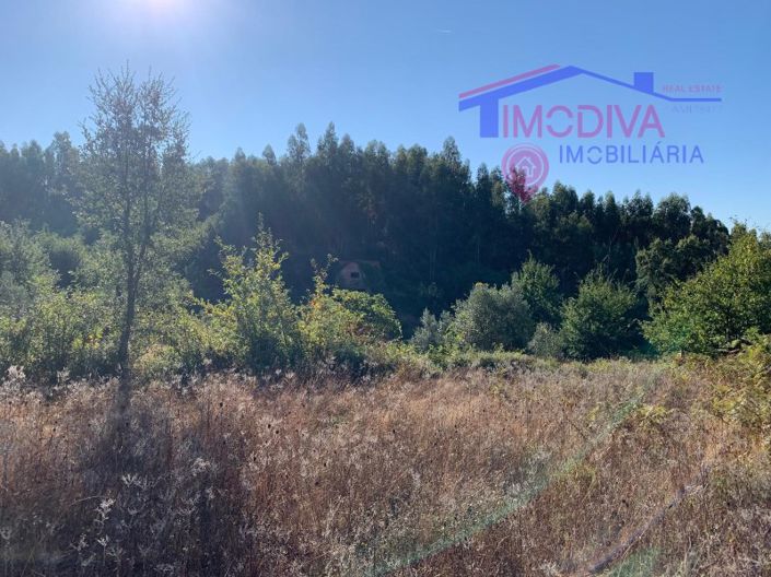 Image No.11-Farmhouse for sale