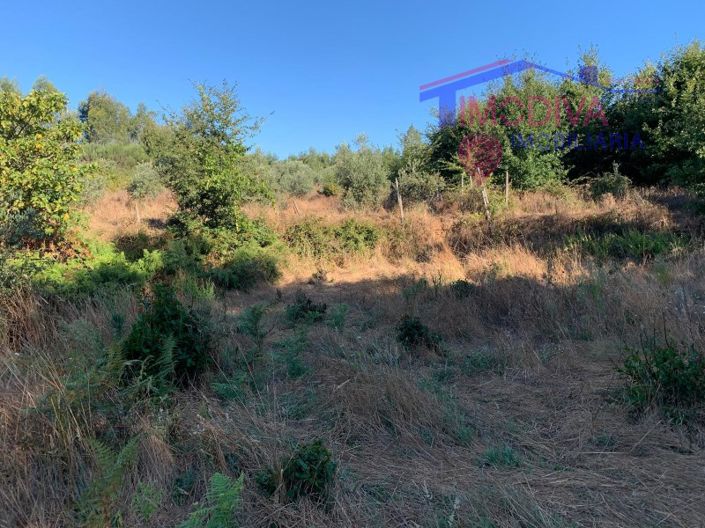 Image No.12-Farmhouse for sale