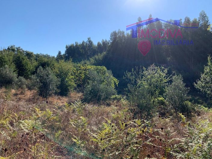 Image No.14-Farmhouse for sale