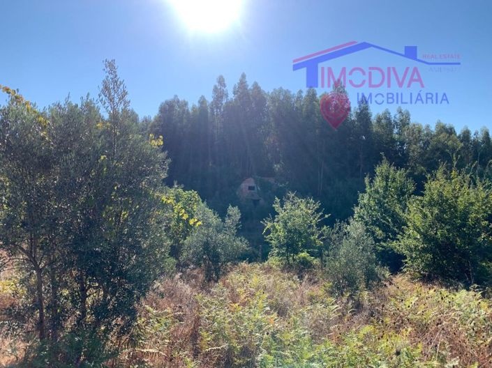 Image No.15-Farmhouse for sale