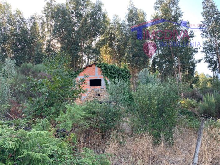 Image No.16-Farmhouse for sale