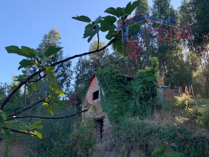 Image No.2-Farmhouse for sale