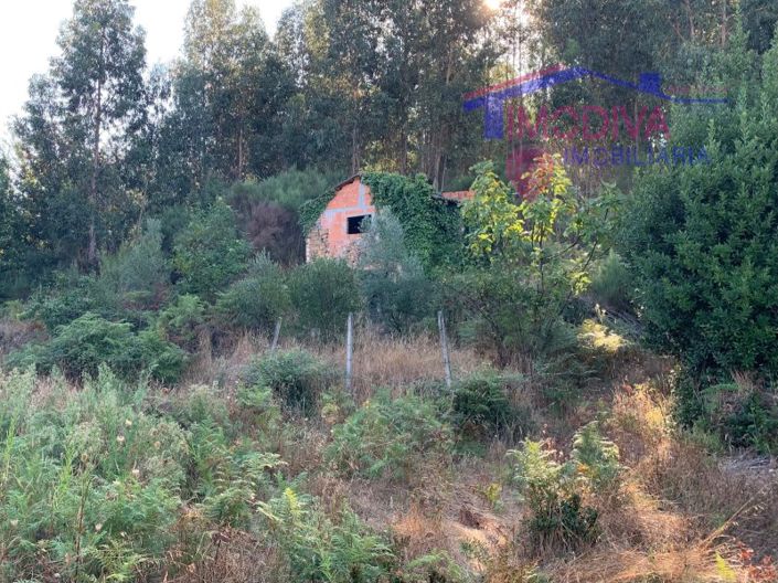 Image No.6-Farmhouse for sale