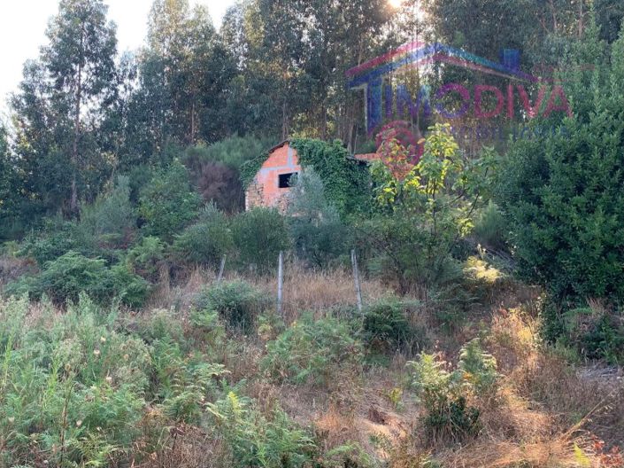 Image No.6-Farmhouse for sale