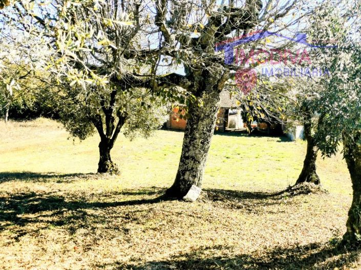 Image No.21-Maison de 4 chambres à vendre à Ansião