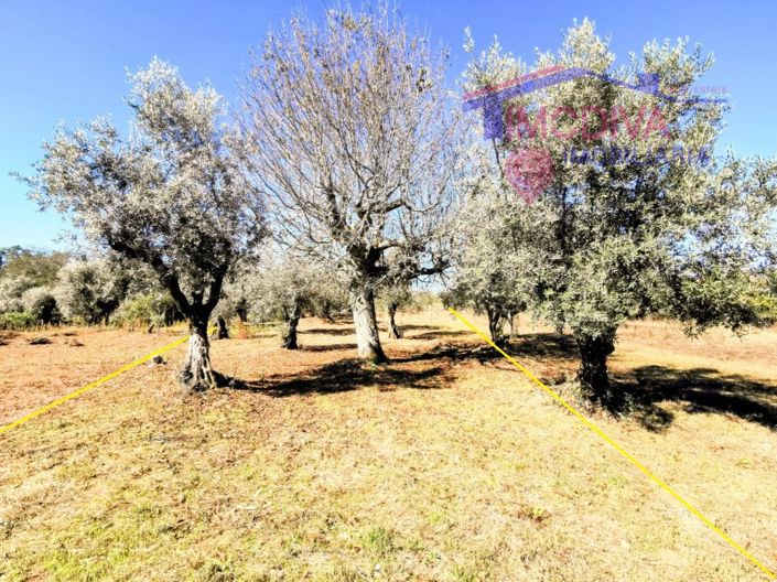 Image No.22-Maison de 4 chambres à vendre à Ansião