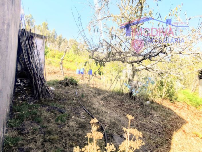 Image No.19-2 Bed House for sale