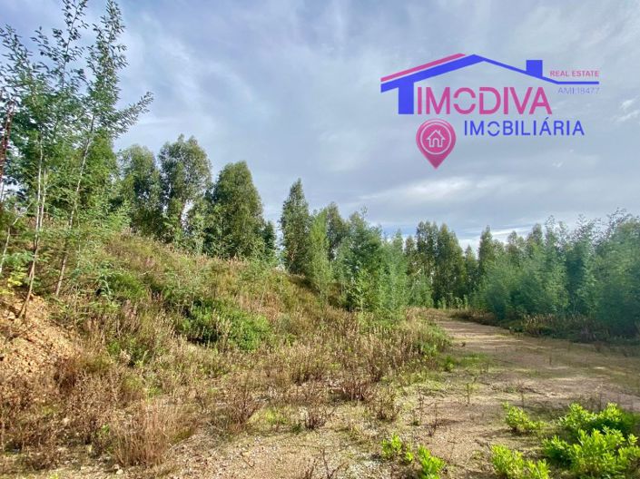 Image No.61-4 Bed Farmhouse for sale