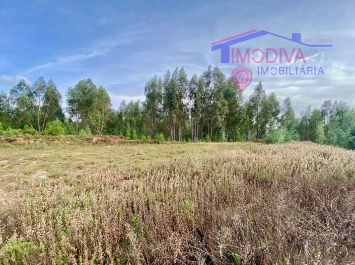 Image No.63-4 Bed Farmhouse for sale