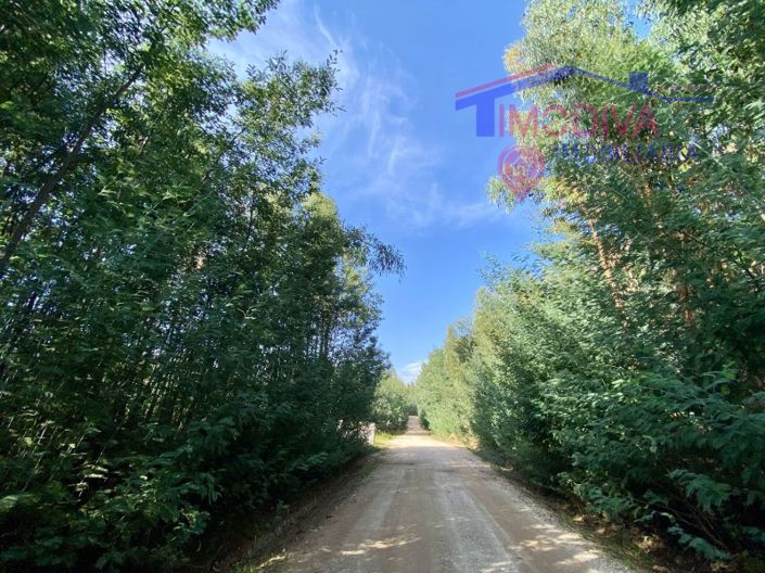 Image No.66-4 Bed Farmhouse for sale