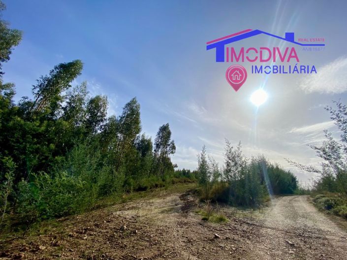 Image No.69-4 Bed Farmhouse for sale