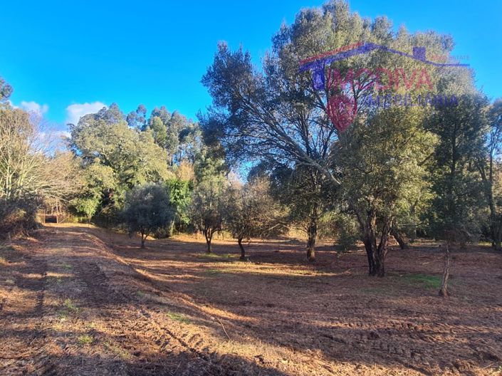 Image No.2-Maison de 6 chambres à vendre à Pedrógão Grande