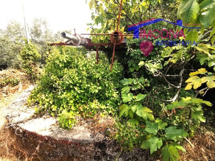 Image No.30-Maison de 6 chambres à vendre à Pedrógão Grande