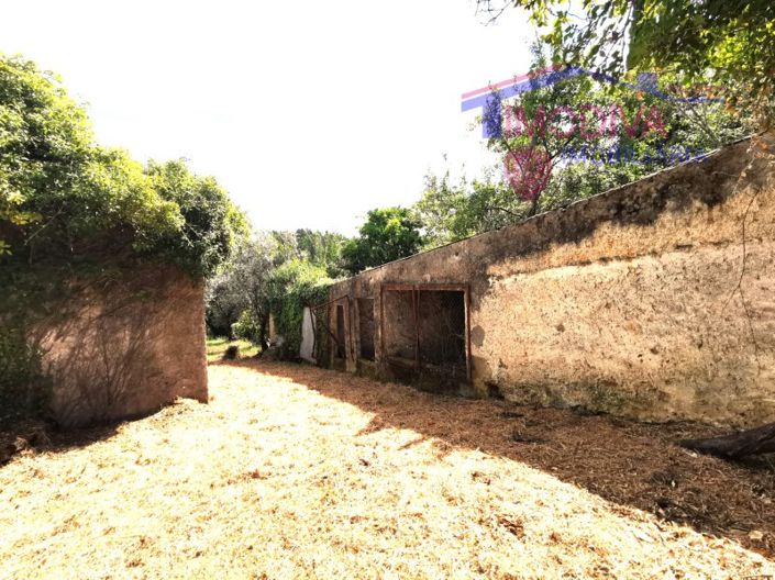 Image No.31-Maison de 6 chambres à vendre à Pedrógão Grande